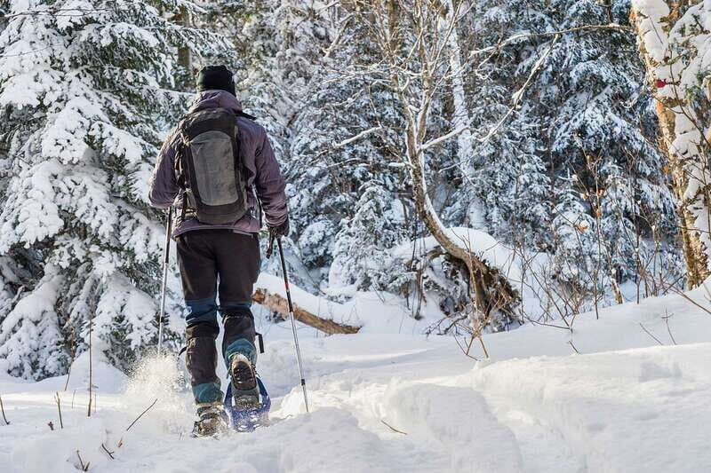 Quebec City: Jacques-Cartier National Park Snowshoeing Tour - Gear Handoff at the Park: Why First-Timers Feel Comfortable