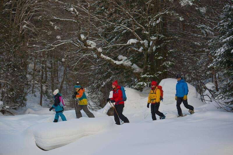 Quebec City: Jacques-Cartier National Park Snowshoeing Tour - The Main Event: Guided Snowshoeing, Wildlife Stops, and Real Hill Work