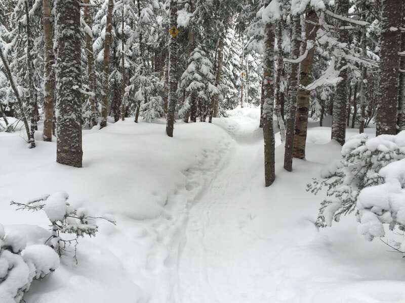 Quebec City: Jacques-Cartier National Park Snowshoeing Tour - Lunch Under a Heated Tent: Comfort That Makes Winter Hiking Worth It