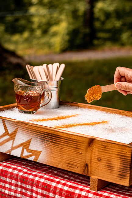 Quebec City (Lévis): self-guided sugar shack tour + meal + maple taffy - The self-guided forest tour: trails, tubing, and the production steps at your pace