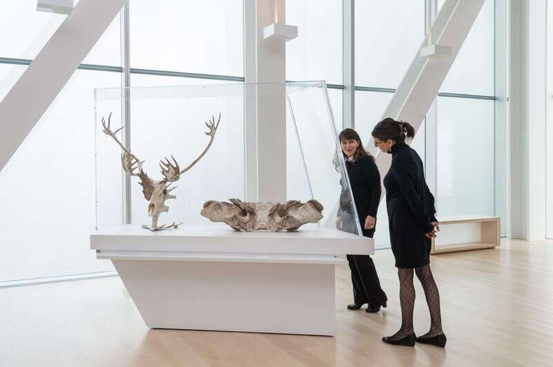 Quebec City: MNBAQ National Fine Arts Museum Entry Ticket - Key Points You’ll Care About