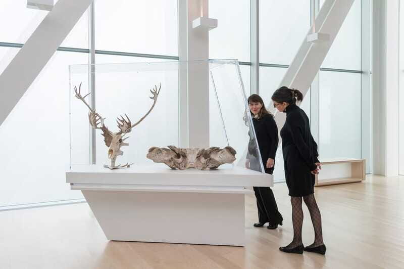 Quebec City: MNBAQ National Fine Arts Museum Entry Ticket - Who Should Book This MNBAQ Ticket?