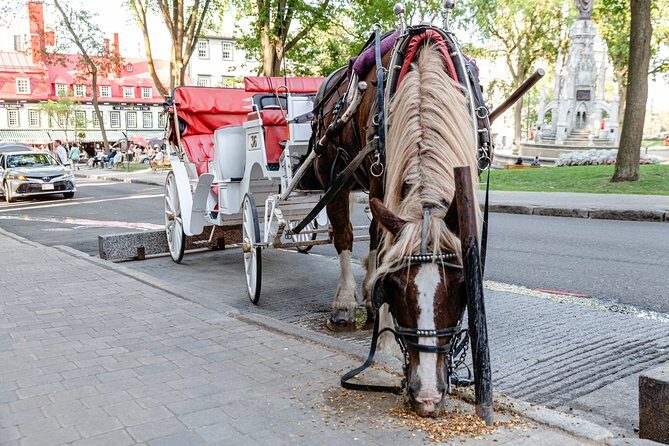 Quebec City Photo Tour - A professional photo coach in Old Quebec: worth it?