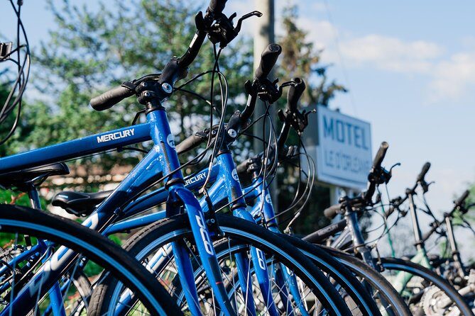 Quebec City - Regular Bike Rental on Ile d'Orléans - Timing that actually changes your experience: 9 h, 11 h, 13 h 30, 15 h 30