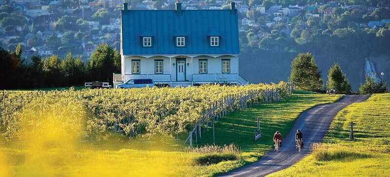 Quebec City - Regular Bike Rental on Ile d'Orléans - Should you book Quebec Aventure Tours on Île d’Orléans?