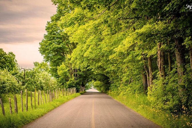 Quebec City - Regular Bike Rental on Ile d'Orléans - Sainte-Pétronille to Saint-Pierre-de-l’Île-d’Orléans: where you can actually slow down