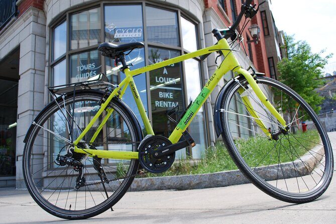 Quebec City Regular Bike Rentals - Hybrid vs road bike: picking the feel you want