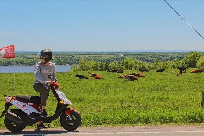 Quebec City - Scooter Rental on Ile d'Orléans - Village-to-village pacing (and why the food is part of the point)
