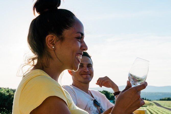 Quebec City - Tandem Bike Rental on Ile d'Orléans - Wineries, cafés, and the island’s “snack strategy”