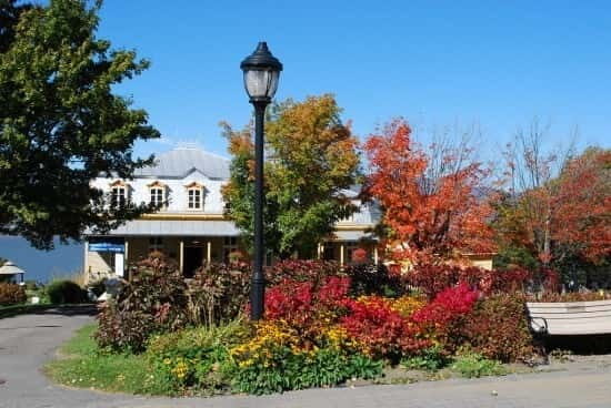Quebec: City Tour, Montmorency Falls & Île d'Orléans Tour - Key Highlights You’ll Actually Care About