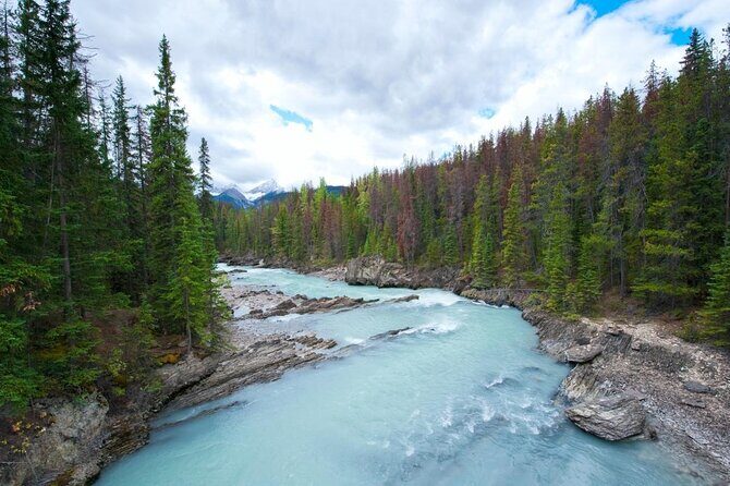 Rafting Adventure on the Kicking Horse River - Key points worth knowing before you go
