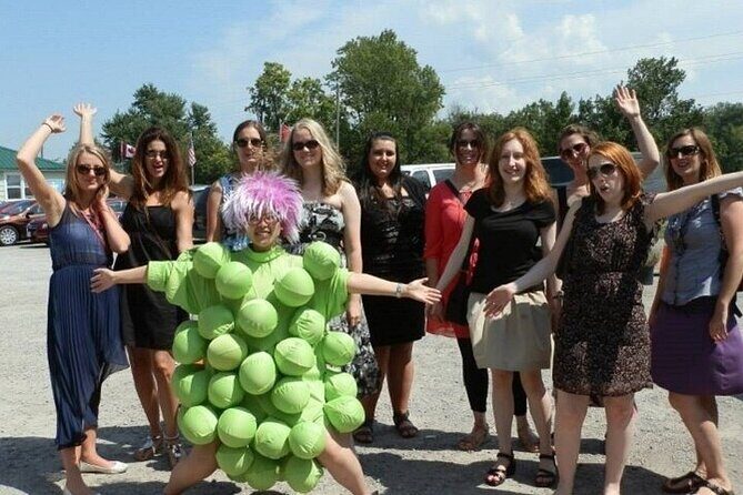 Relaxing Afternoon Wine Tour through Niagara's Wine Country - Price and value: $127.67 for a guided, transport-included tasting run