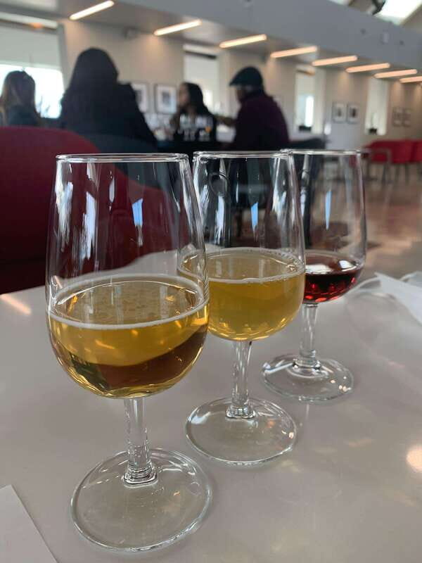 Relaxing Lunch & Wine Tour through Niagara's Wine Country - Quick hits before you go