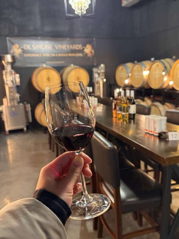 Relaxing Lunch & Wine Tour through Niagara's Wine Country - The extended winery tour: from vine to barrel room