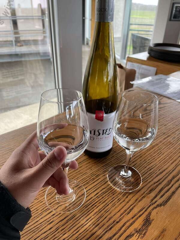 Relaxing Lunch & Wine Tour through Niagara's Wine Country - Three winery tastings: red, white, and sweet, plus time to shop