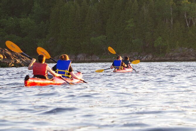 River Relics Kayaking Adventure - Wildlife and weather: how to dress so the trip stays fun