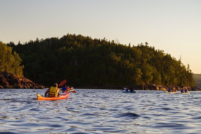 River Relics Kayaking Adventure - What’s included (and why it’s good value for a 2-hour paddle)