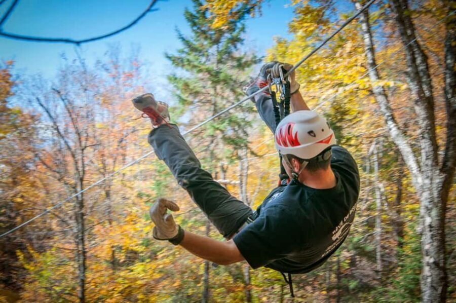 River Ziplines - Nature Tours - Skimming the Laurentians: what the forest ride is really like