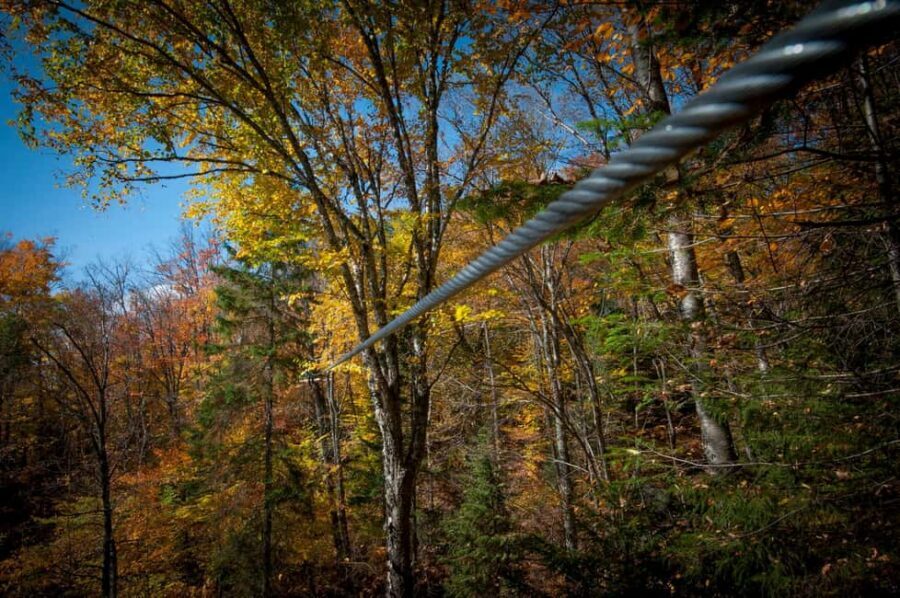 River Ziplines - Nature Tours - Price and value: is $55 for 2 hours fair?