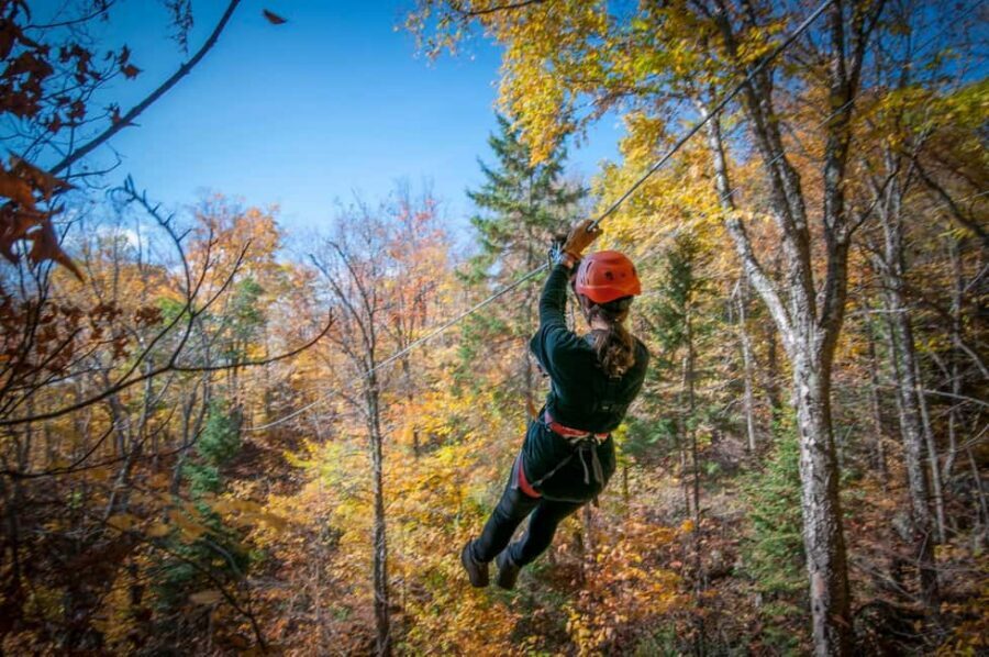 River Ziplines - Nature Tours - The numbers: 18 ziplines, up to 50 feet, and 400 meters
