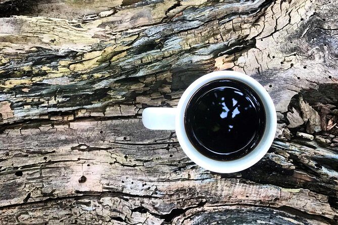 Roasting Experience at 14th Coffee Co - Coffee tastings, cold brew, charcuterie, and pastry