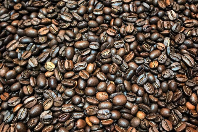 Roasting Experience at 14th Coffee Co - Book it or skip it: my decision guide