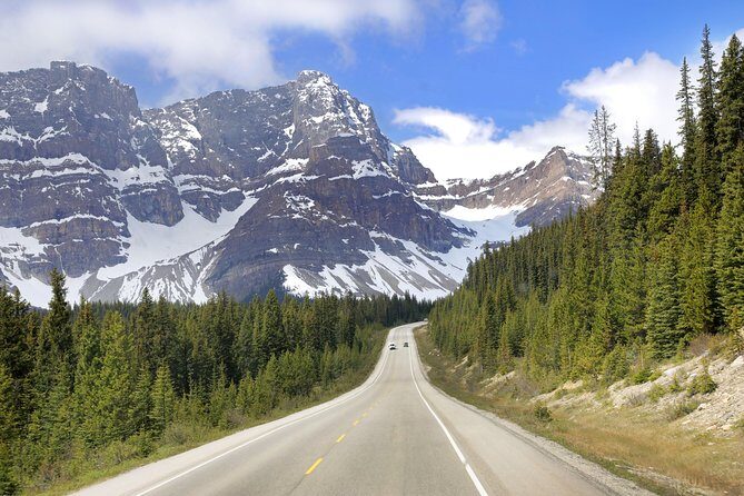 Rockies Christmas Premium Tour - Day 3: Banff Townsite Driving Tour, Sleigh Ride, and Christmas Dinner