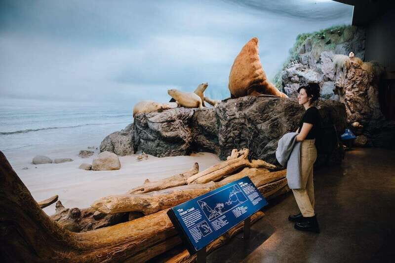Royal B.C. Museum in Victoria: Full-Day Admission Ticket - Key highlights to plan around