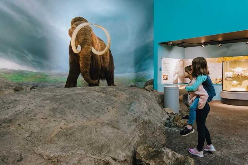 Royal B.C. Museum in Victoria: Full-Day Admission Ticket - Pacing your full day: a simple route that works