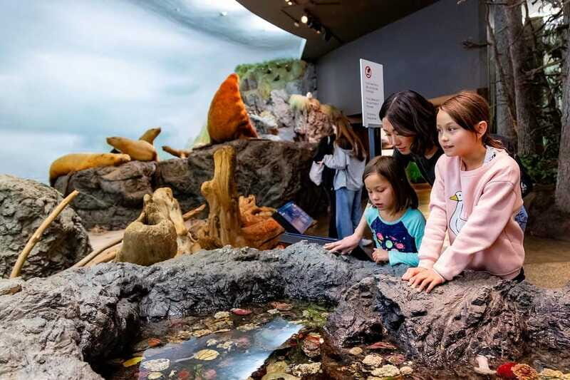 Royal B.C. Museum in Victoria: Full-Day Admission Ticket - Old Town, New Approach: turn-of-the-century street life you can walk through