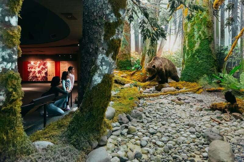 Royal B.C. Museum in Victoria: Full-Day Admission Ticket - Natural History galleries: coastal rainforest, tidepools, and real marine life