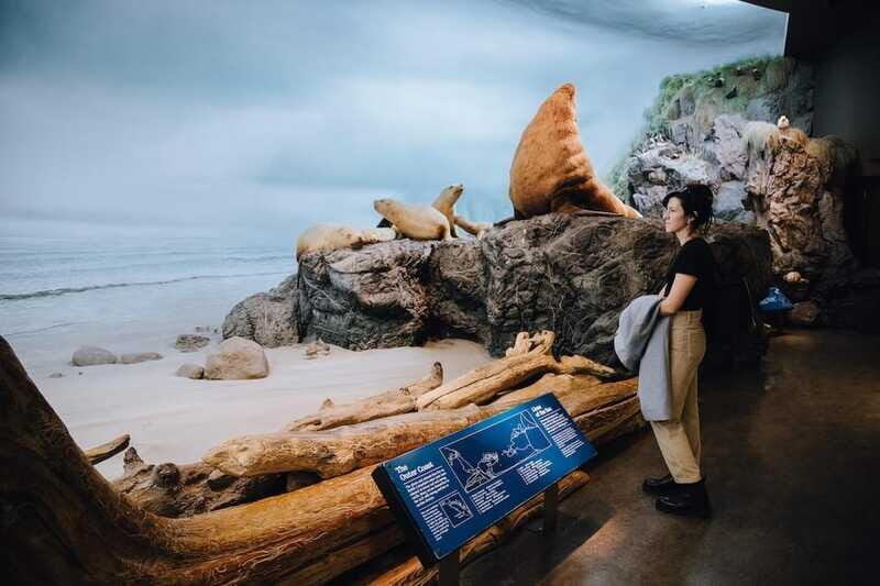Royal B.C. Museum in Victoria: Full-Day Admission Ticket - The IMAX Victoria finish: how to use it without feeling rushed