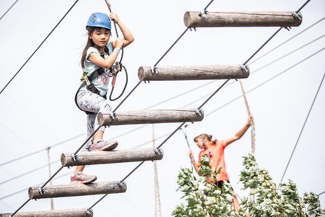 Sailing Aerial Adventure - Collision course, inflatables, and carousel breaks to keep energy up