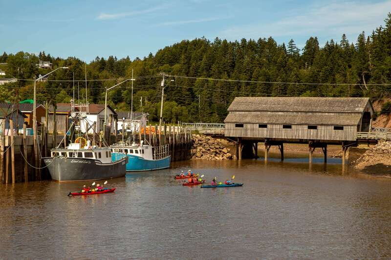 Saint John: Guided Kayaking Tour of St. Martins Sea Caves - Key Things I’d Prioritize Before You Go