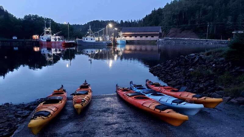 Saint John: Guided Kayaking Tour of St. Martins Sea Caves - Who This Tour Suits Best, and Who Should Skip It