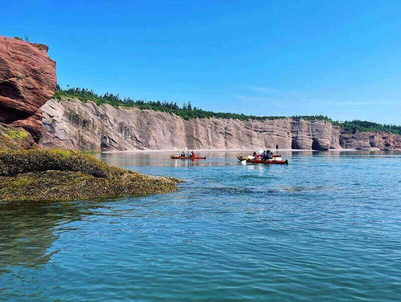 Saint John: Guided Kayaking Tour of St. Martins Sea Caves - Price and Value: Why This Feels Fair for What You Do
