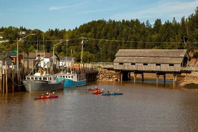 Saint John: Guided Kayaking Tour of St. Martins Sea Caves - Getting There from Saint John Cruise Terminals (No Shuttle, Plan Ahead)