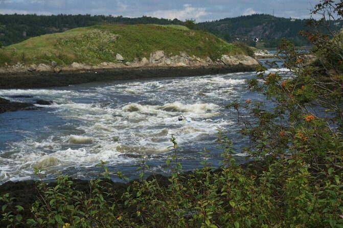 Saint John Highlights & History Cycling Tour - Key highlights worth your attention