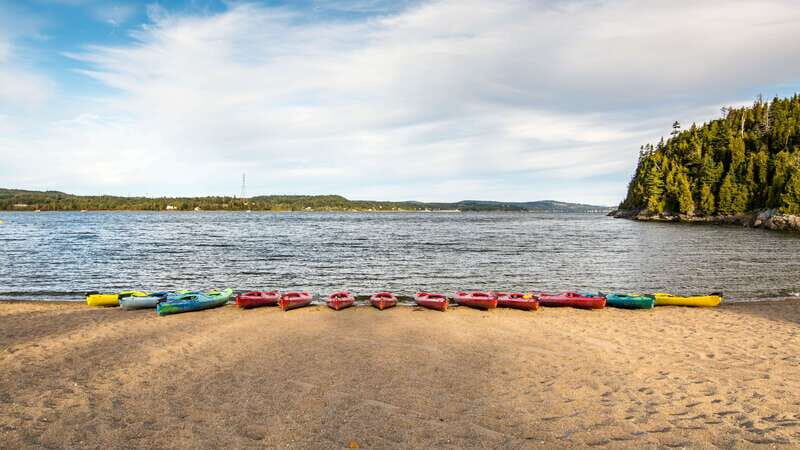 Saint John River: River Relics Kayak Tour - Fossil Stops That Make Geology Feel Real