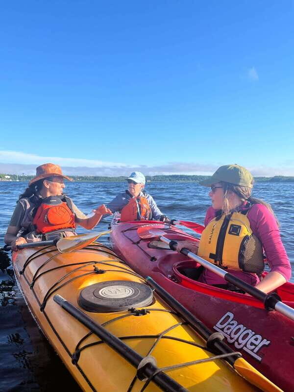 Saint John River: River Relics Kayak Tour - Price and Value: what $83 buys you