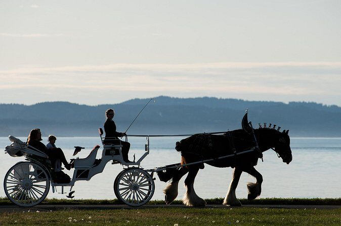 Salish Sea Horse-Drawn Carriage Tour of Victoria - Price and Value: $180.14 Per Group (Private by Carriage)