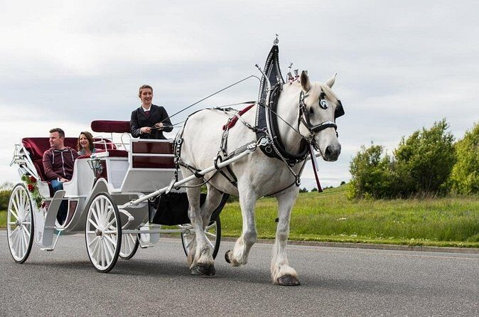 Salish Sea Horse-Drawn Carriage Tour of Victoria - Timing, Weather, and the 45-Minute Reality Check