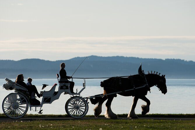 Salish Sea Horse-Drawn Carriage Tour of Victoria - What You’ll See: Legislative Assembly to the Olympic Horizon