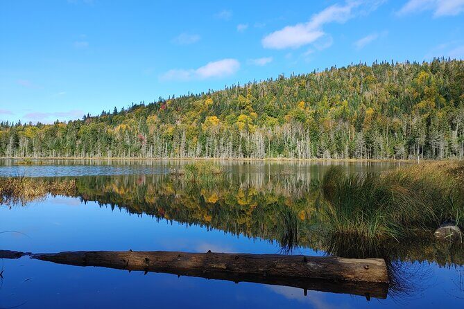 Scenic Hiking Adventure at Mont-Orford National Park - Entering the Mont-Orford Day: the 7:00 a.m. plan