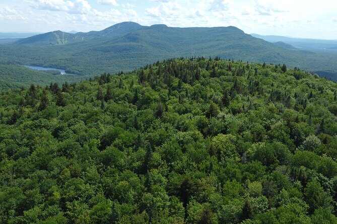 Scenic Hiking Adventure at Mont-Orford National Park - Le Mont-Chauve basics: 4 hours, 310 meters, intermediate but friendly
