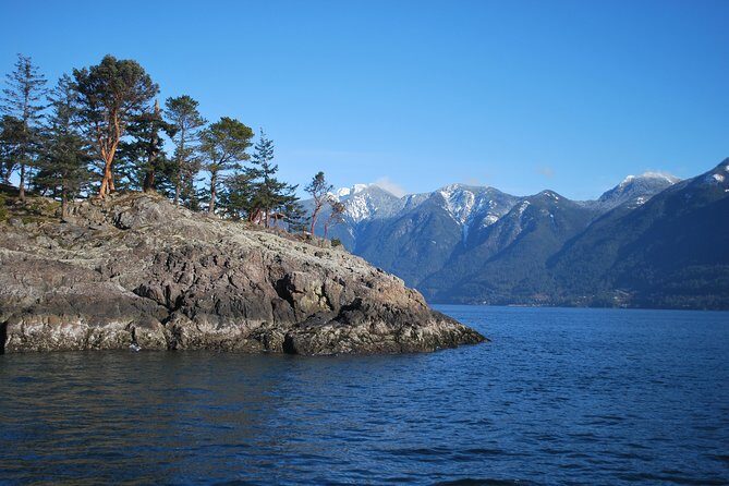 Scuba Dive Boat Charter in Vancouver (Certified Divers Only!) - The Marine Life You’ll Actually Care About