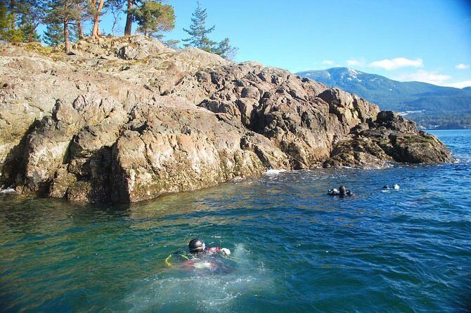 Scuba Dive Boat Charter in Vancouver (Certified Divers Only!) - Ride-Along Option: Scenic Howe Sound Without the Gear