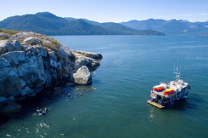 Scuba Dive Boat Charter in Vancouver (Certified Divers Only!) - A Cold-Water Charter Built for Comfort: The Topsail Setup