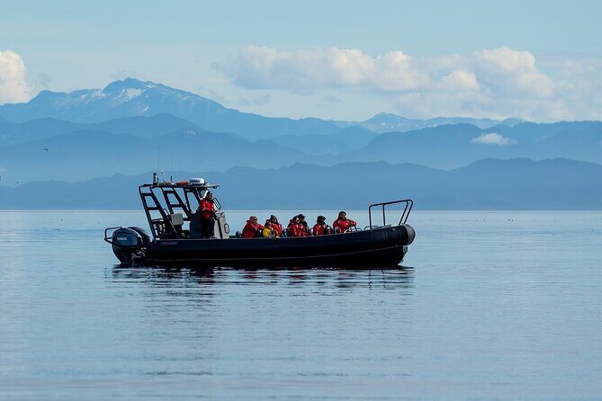 Sea Otter and Whale Watching Tour on Northern Vancouver Island - Price and value: is $283.89 worth it?