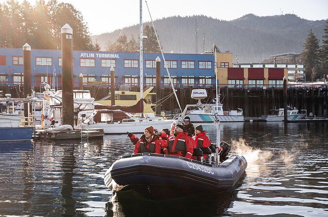 Sea Prince Rupert City and Harbour Shared Zodiac Tour - Wildlife spotting in Great Bear Rainforest waters (and what to expect realistically)